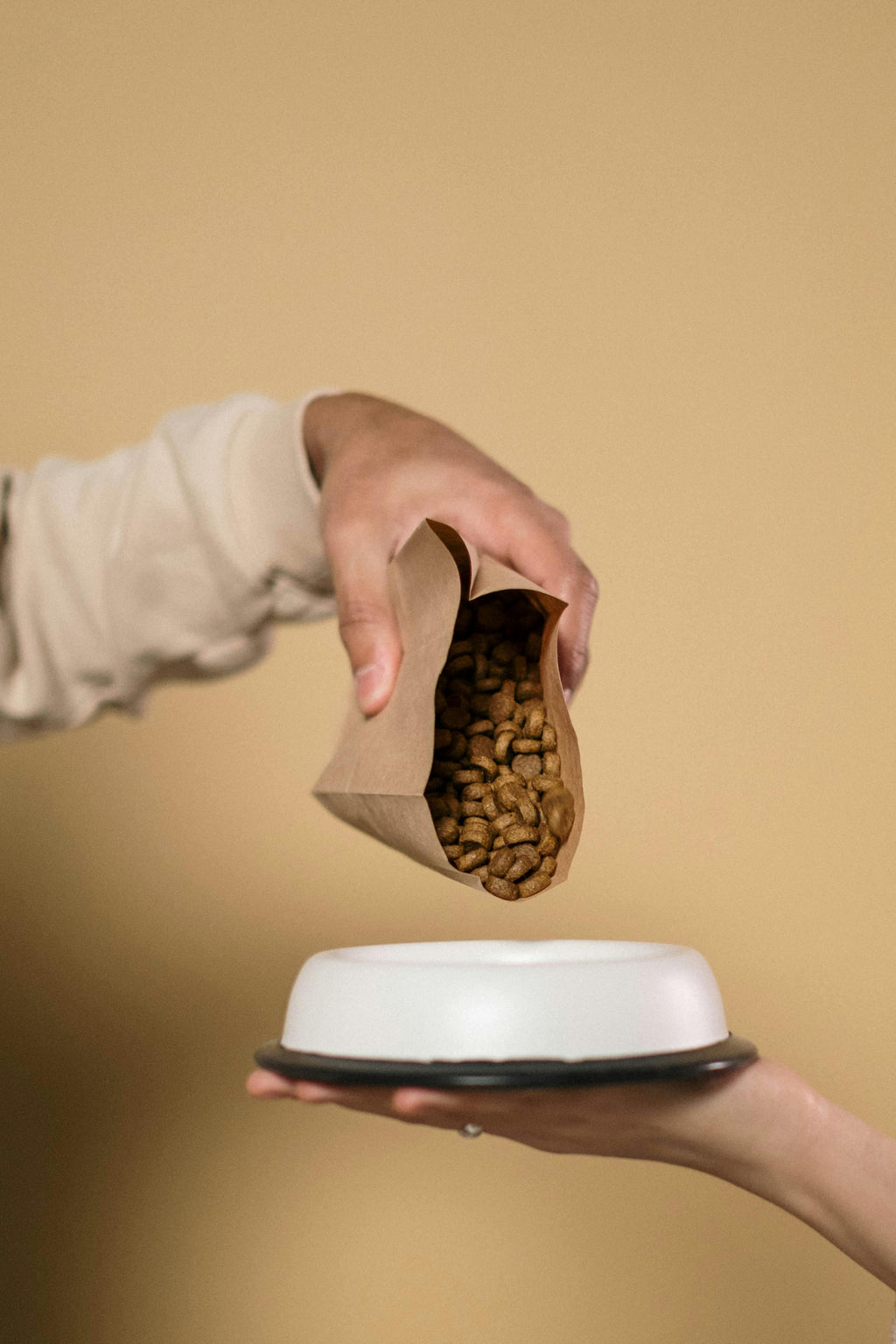 Dog Food