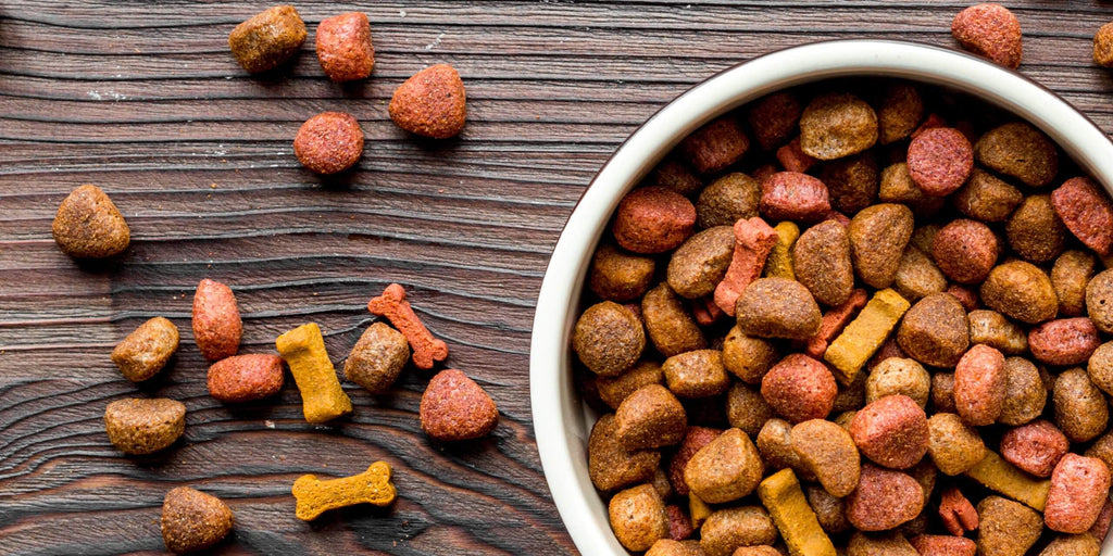 processed-pet-foods